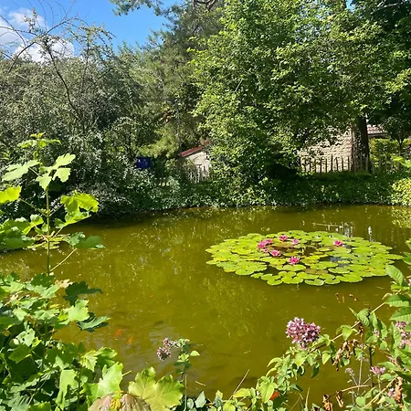 Bed & Breakfast La Tonnelle